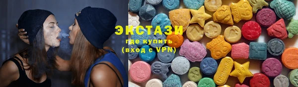 ECSTASY Гусь-Хрустальный