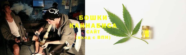 ECSTASY Гусь-Хрустальный