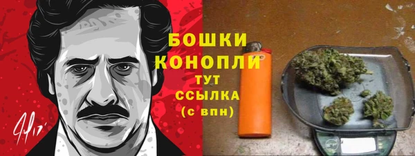 PSILOCYBIN Наволоки