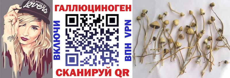 Псилоцибиновые грибы Magic Shrooms  hydra сайт  Новоузенск 